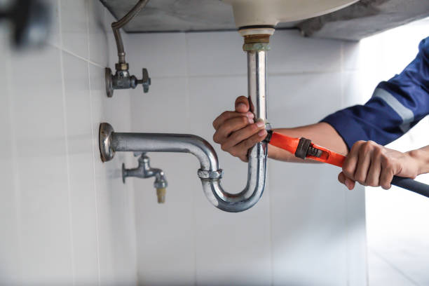 Best Clogged Drain Plumber  in Howard Lake, MN