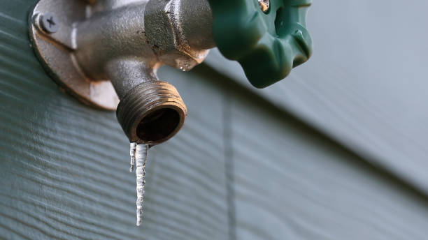 Best Affordable Plumbing Services  in Howard Lake, MN