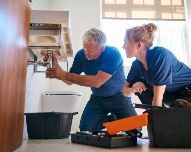 Best Toilet Repair Services  in Howard Lake, MN